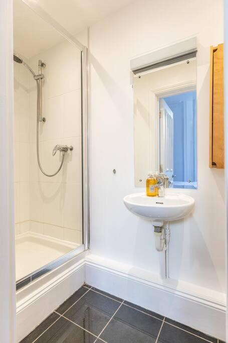 브라이턴 Victorian Flat Close To Station With Large Garden 아파트 외부 사진